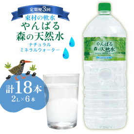 【ふるさと納税】【定期便3回】東村の軟水【やんばる 森の天然水】ナチュラルミネラルウォーター　2L×6本 天然水 ミネラルウォーター 水 ソフトドリンク 飲料水 軟水 東村の水 天然水 お水 ヤンバルの水 やんばる ヤンバル ペットボトル 2リットル 防災 国産 長期保存 備蓄