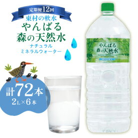 【ふるさと納税】【定期便12回】東村の軟水【やんばる 森の天然水】ナチュラルミネラルウォーター　2L×6本 天然水 ミネラルウォーター 水 ソフトドリンク 飲料水 軟水 東村の水 天然水 お水 ヤンバルの水 やんばる ヤンバル ペットボトル 2リットル 防災 国産 長期保存 備蓄
