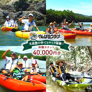 yӂ邳Ɣ[Łz厩R̒ŃJbŇI΂Nu@̌`Pbgi40000~j JbN ̌ c 厩R T ` }O[u ΂̐X  A M KCh