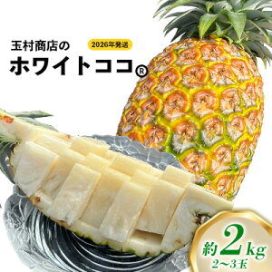 yӂ邳Ɣ[ŁzʑX̃zCgRR@2`3ʁi2kgj 2026N ꌧY  pCibv W[V[  t[c 썑t[c Yt[c _ƒ pC ʕ 蕨 