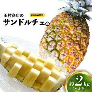 yӂ邳Ɣ[ŁzʑX̃Th`F@2`3ʁi2kgj 2026N ꌧY  pCibv W[V[  t[c 썑t[c Yt[c _ƒ pC ʕ 蕨 