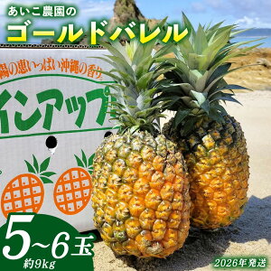 yӂ邳Ɣ[Łz_̃S[ho@5`6ʁi9kgjE܂ 2026N ꌧY  pCibv W[V[  t[c 썑t[c Yt[c _ƒ