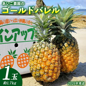 yӂ邳Ɣ[Łz_̃S[ho@1ʁi1.7kgjE܂ 2026N ꌧY  pCibv W[V[  t[c 썑t[c Yt[c _ƒ