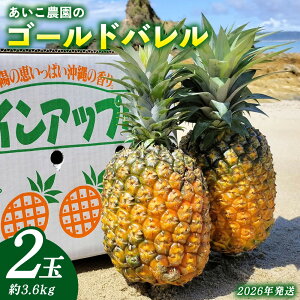 yӂ邳Ɣ[Łz_̃S[ho@2ʁi3.6kgjE܂ 2026N ꌧY  pCibv W[V[  t[c 썑t[c Yt[c _ƒ