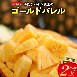 yӂ邳Ɣ[Łz䂽pC_̃S[ho@2ʁipj5kg 2026N ꌧY  pCibv W[V[  t[c 썑t[c Yt[c _ƒ pC