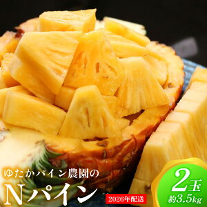 yӂ邳Ɣ[Łz䂽pC_NpC@2ʁi3.5kgj 2026N ꌧY  pCibv W[V[  t[c 썑t[c Yt[c _ƒ pC ʕ 蕨 