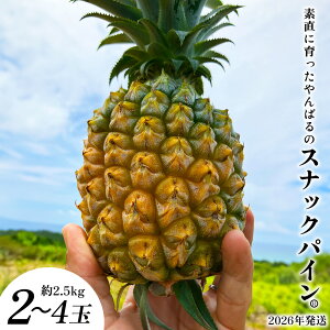 yӂ邳Ɣ[ŁzfɈ΂̃XibNpC@2`4ʁi2.5kgj 2026N ꌧY  pCibv W[V[  t[c 썑t[c Yt[c _ƒ pC