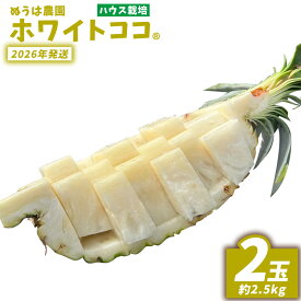 【ふるさと納税】ハウス栽培　ホワイトココ　2玉（約2.5kg） 2026年発送 沖縄県産 東村 ゆがふパイン ジューシー 希少 高級フルーツ 南国フルーツ 国産フルーツ 農家直送 パイン 果物 贈り物 おすすめ お土産 人気 やんばる 大自然 南国気分 沖縄本島北部