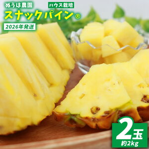 yӂ邳Ɣ[ŁznEX͔|@XibNpC@2ʁi2kgj 2026N ꌧY  pCibv W[V[  t[c 썑t[c Yt[c _ƒ pC ʕ 蕨 