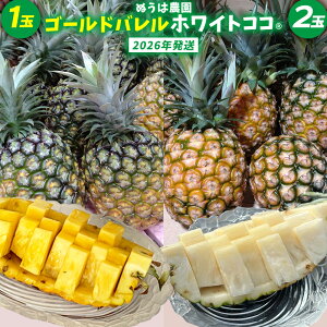 yӂ邳Ɣ[ŁzS[ho1ʂƃzCgRR2ʁ@l 2026N ꌧY  pCibv W[V[  t[c 썑t[c Yt[c _ƒ pC ʕ 