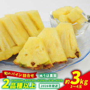 yӂ邳Ɣ[Łz_ƂC {̃pCl 2iȏ 3`4ʁi3kgj 2026N ꌧY  pCibv W[V[  t[c 썑t[c Yt[c _ƒ pC 