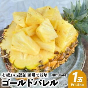 yӂ邳Ɣ[ŁzL@JASFؕޏō͔|@S[ho@1ʁi1.5kgj 2026N ꌧY  pCibv W[V[  t[c 썑t[c Yt[c _ƒ pC 