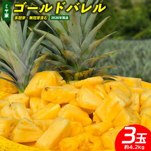 yӂ邳Ɣ[Łz~Ɓ@S[ho@3ʁi4.2kgjE܂ 2026N ꌧY  pCibv W[V[  t[c 썑t[c Yt[c _ƒ p