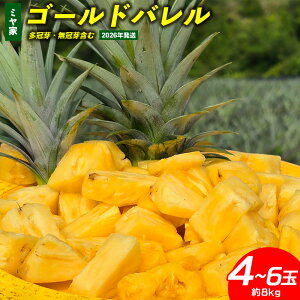 yӂ邳Ɣ[Łz~Ɓ@S[ho@4`6ʁi8kgjE܂ 2026N ꌧY  pCibv W[V[  t[c 썑t[c Yt[c _ƒ 