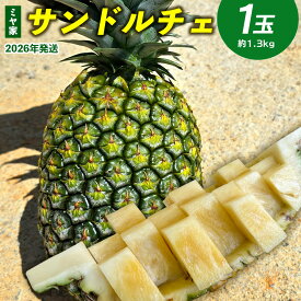 【ふるさと納税】ミヤ家　サンドルチェ　1玉（約1.3kg） 2026年発送 沖縄県産 東村 パイナップル ジューシー 希少 高級フルーツ 南国フルーツ 国産フルーツ 農家直送 パイン サンドルチェ 贈り物 おすすめ お土産 人気 やんばる 大自然 南国気分 沖縄本島北部