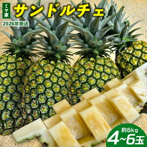 yӂ邳Ɣ[Łz~Ɓ@Th`F@4`6ʁi6kgj 2026N ꌧY  pCibv W[V[  t[c 썑t[c Yt[c _ƒ pC Th`F 