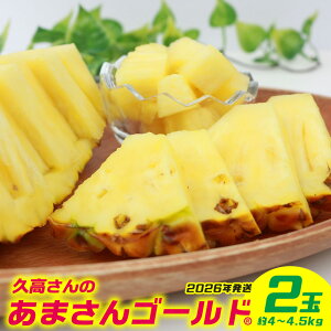 yӂ邳Ɣ[Łzv̂܂S[h@2ʁi4`4.5kgj 2026N ꌧY  pCibv W[V[  t[c 썑t[c Yt[c _ƒ pC ʕ 