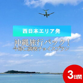 【ふるさと納税】＜西日本エリア発＞沖縄旅行パック！今帰仁満喫チョイスプラン3日間！