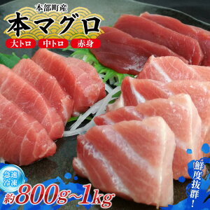yӂ邳Ɣ[Łz{Y@{}OÂigEgEԐgj800g`1000g  {}O  Mtg O j i v[g yY   g g g 