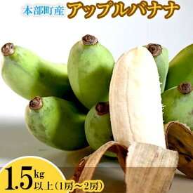 【ふるさと納税】【2024年発送】本部町産アップルバナナ　1.5kg以上