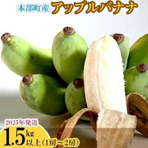 yӂ邳Ɣ[Łzy2025Nz{YAbvoii@1.5kgȏ 썑  Ȃ ʎ t[c  Ԍ s\ ʌ { lC   v[g Mtg 蕨 J