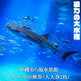 【ふるさと納税】【迫力の大水槽】沖縄美ら海水族館　チケット引換券＜大人券2枚＞ 本部町 海洋博 水族館 カップル 家族 ファミリー 親子 ジンベイザメ マンタ 水槽 魚 海水 海 人気 オススメ ギフト プレゼント 贈答 贈り物 プロポーズ