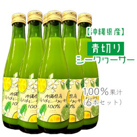 【ふるさと納税】沖縄県産青切りシークヮーサー100％果汁（6本セット）