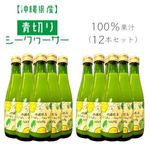 yӂ邳Ɣ[ŁzꌧY؂V[N[T[100ʏ`i12{Zbgj ꌧ   ʎ tbV r V[N@[T[ { { Mtg v[g  蕨  lC h