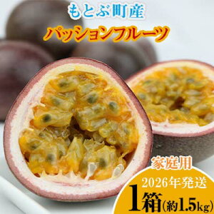 yӂ邳Ɣ[Łzy2026NzƂԒYpbVt[c@ƒp(1.5kg) Ȃ 썑 ʕ   lC  v[g Mtg G   Ԍ ʌ 