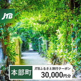 【ふるさと納税】【本部町】JTBふるさと旅行クーポン（Eメール発行）（3万円分） JTB JTBクーポン 宿泊 沖縄宿泊 宿泊券 旅行 旅行券 観光 ホテル リゾートホテル クーポン トラベルクーポン トラベル チケット 予約 おすすめ 人気 ファミリー 沖縄県 本部町