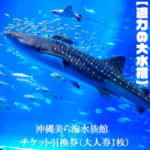 yӂ邳Ɣ[Łzy͂̑吅zCف@`Pbgl1 { Cm  Jbv 炤 `Pbg  WxCU }^   C C lC 