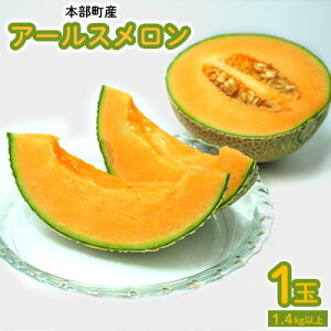 yӂ邳Ɣ[Łz{Y@A[Xi1ʁj1.4kgȏ t[c ʕ ʎ Ԍ ʌ  XX { lC Y Ȃ Ƃ  v[g 蕨 XC[c