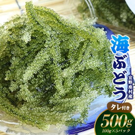 【ふるさと納税】【2026年発送】宜野座村の海ぶどう（100g×5パック） うみぶどう ウミブドウ ぷちぷち プチプチ グリーンキャビア クビレズタ シーグレープ はじける 弾ける 食感 爽やか 磯の香り 海藻 新鮮 酢の物 サラダ トッピング 海鮮丼 沖縄 宜野座村