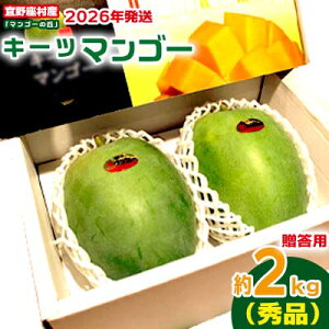 yӂ邳Ɣ[Łzy2026Nzp@XYL[c}S[u}S[̋uvGi@2kg t[c Â     Mango fU[g 傫  蕨 r^~ 