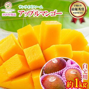 yӂ邳Ɣ[Łzy2026NzTCYt@[̂p}S[ 1kgi2`3ʁj A[EB ʕ Â  Z Mtg Mango LO n Cɓ n lC Ö t[c 