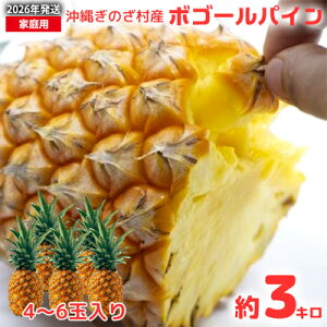 yӂ邳Ɣ[Łzy2026NzԔ_̋XYn{S[pC3kgi4`6j Â ʕ M W[X pCAbv  Y D j Mtg gsJt[c p