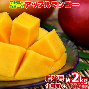yӂ邳Ɣ[Łzy2026NzX̐V琴̃Abv}S[pi2kgj A[EB }S[ Â  Z  蕨 LO n Cɓ  lC