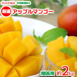 yӂ邳Ɣ[Łzy2026Nzcʎ̌IAbv}S[pi2kgj A[EB ʕ Â  Z Mtg Mango LO n Cɓ  lC  t[c 