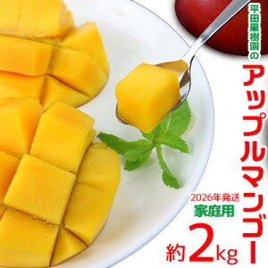 yӂ邳Ɣ[Łzy2026Nzcʎ̃Abv}S[ƒpi2kgj A[EB ʕ Â  Z Mtg Mango LO n Cɓ  lC  t[c 