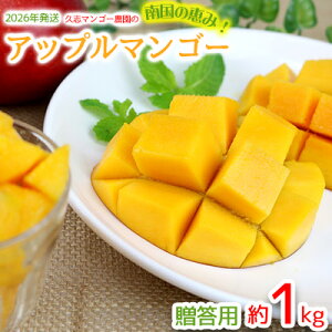 yӂ邳Ɣ[Łzy2026Nz썑̌b݁Ivu}S[_̃Abv}S[pi1kgj A[EB ʕ Â  Z Mtg Mango LO n Cɓ  lC 