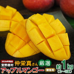 yӂ邳Ɣ[Łzy2026NzX@h^񌵑IAbv}S[pi1kgj A[EB ʕ Â  Z  Mango LO n Cɓ  lC 