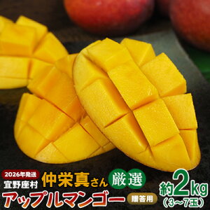 yӂ邳Ɣ[Łzy2026NzX@h^񌵑IAbv}S[pi2kgj A[EB ʕ Â  Z  Mango LO n Cɓ  lC 