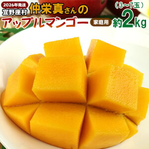 yӂ邳Ɣ[Łzy2026NzX@h^̃Abv}S[ƒpi2kgj A[EB ʕ Â  Z  Mango LO n Cɓ  lC 