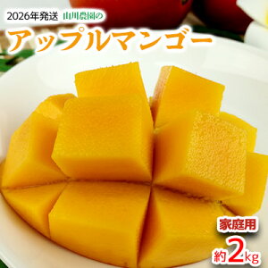 yӂ邳Ɣ[Łzy2026NzR_̃Abv}S[ƒpi2kgj A[EB ʕ Â  Z  Mango LO n Cɓ  lC  t[c 