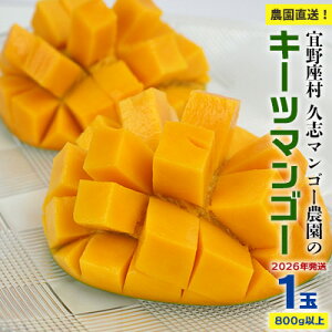 yӂ邳Ɣ[Łzy2026Nz_IX@vu}S[_̃L[c}S[1ʁi800gȏj t[c Â     Mango LO 傫  蕨 