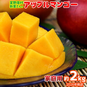 yӂ邳Ɣ[Łzy2026NzX̐V琴̃Abv}S[ƒpi2kgj A[EB ʕ Â  Z Mtg Mango LO n Cɓ  lC  