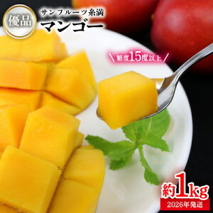 yӂ邳Ɣ[Łzy2026Nzx15xȏITt[c̃}S[Di@1kg Yn s\ t[c ʕ  Abv}S[ Abv A[EB Z fU[g 