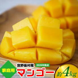 【ふるさと納税】【2026年発送】ご家庭用マンゴー 約4kg【宜野座村産】 沖縄 南国 先行予約 期間限定 マンゴー 果物 くだもの フルーツ 果実 家庭用 自宅用 濃厚 甘い 芳醇 夏