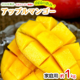【ふるさと納税】【2026年発送】久志マンゴー農園のアップルマンゴー家庭用（約1kg） アーウィン 果物 甘い 夏 濃厚 ギフト Mango ランキング 完熟 お気に入り 美味しい 人気 おすすめ フルーツ 沖縄県 先行予約 食品 デザート 産地直送 送料無料