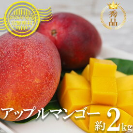 【ふるさと納税】【2026年発送】マンゴーの拠点産地「宜野座村」の秀品アップルマンゴー（約2kg） アーウィン 果物 甘い 夏 濃厚 ギフト Mango ランキング 完熟 お気に入り 美味しい 人気 おすすめ 地元 沖縄県 先行予約 南国フルーツ デザート 産地直送 送料無料